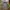 Gorpcore Track jacket Pria green photo 5