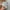 Y2K Casual Casual shirt Pria multicolor photo 3