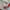 Japanese brand Vintage Y2K Bag Pria tan photo 3