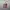 Japanese brand Vintage Y2K Bag Pria red cream photo 1