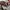 Japanese brand Vintage Y2K Bag Pria red cream photo 3