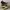 Nike Streetwear Y2K Sneakers Pria brown photo 3
