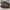 Nike Streetwear Y2K Sneakers Pria brown photo 6