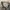 Vintage Y2K Suit Pria gray photo 3