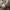 Vintage Y2K Suit Pria gray photo 5
