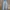 Streetwear Biker Jeans Pria blue photo 1