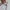 Russell Athletic Vintage Streetwear Polo shirt Pria white photo 5
