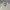 Polo Ralph Lauren Vintage Y2K Harrington jacket Pria tan photo 5