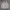 Beanpole Vintage Harrington jacket Pria cream photo 1