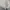 Polo Ralph Lauren Vintage Y2K Harrington jacket Pria cream photo 3