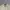 Polo Ralph Lauren Vintage Y2K Harrington jacket Pria cream photo 4