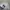Champion Vintage Streetwear Sweater Pria gray photo 1