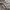 Champion Vintage Streetwear Sweater Pria gray photo 3