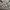 New Era Streetwear Luxury Sweatshirt Pria gray photo 3