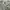 New Era Streetwear Luxury Sweatshirt Pria gray photo 2