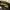 ZARA Minimalist Casual Bags & purse Wanita yellow photo 3