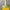ZARA Minimalist Casual Bags & Purse Wanita Yellow
