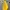 ZARA Minimalist Casual Bags & Purse Wanita Yellow