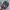 Nike Streetwear Sneakers Pria multicolor photo 5