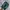 Nike Streetwear Sneakers Pria multicolor photo 5