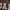 GAP Streetwear Hoody Pria tan brown photo 4