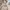 Dickies Streetwear Hoody Pria tan brown photo 2