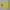 Pancoat Fairy Emo Sweater Pria yellow photo 4