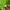 Montbell Streetwear Casual Outerwear Kids green photo 3