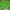 Montbell Streetwear Casual Outerwear Kids green photo 4