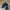 Edelweiss Gorpcore Sportswear Hat Pria black photo 2