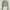 H&M Casual Cardigan Wanita green photo 1