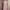 Cottagecore Coquette Midi Dress Wanita Pink