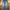 Levi's Casual Jeans Pria navy photo 3