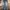 ZARA Casual Jeans Pria navy photo 3