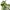 Vintage Sweater Wanita green photo 5