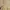 Gorpcore Tracksuit Wanita cream photo 5