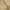 Gorpcore Tracksuit Wanita cream photo 6