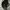 New Era Streetwear Sportswear Hat Kids black photo 2