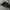 New Era Streetwear Sportswear Hat Kids black photo 1