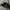 New Era Streetwear Sportswear Hat Kids Black