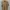 Y2K Casual Formal shirt Pria tan photo 1