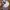 ZARA Streetwear Casual Hat Pria multicolor photo 3