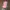 Gorpcore Sportswear Hat Pria Pink