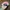 Gorpcore Sportswear Hat Pria pink photo 2