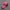 Gorpcore Sportswear Hat Wanita pink photo 1