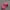 Gorpcore Sportswear Hat Wanita Pink