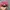Gorpcore Sportswear Hat Wanita pink photo 2