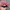 Gorpcore Sportswear Hat Wanita Pink