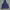 Adidas Sportswear Casual Hoody Pria multicolor photo 2