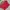 H&M Casual Sweatshirt Wanita red photo 4